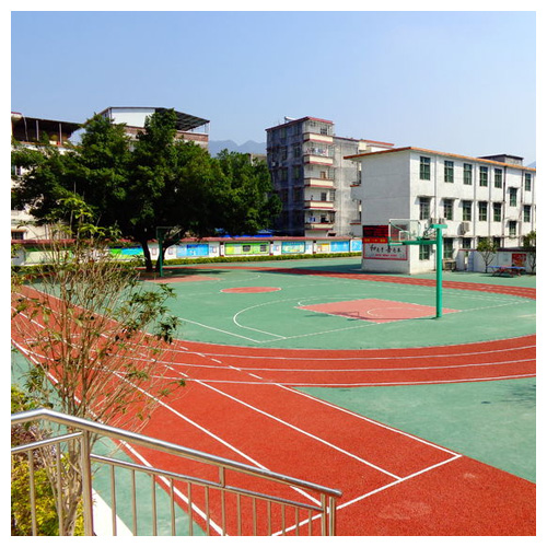 内蒙古雷公坑小学复合型塑胶跑道